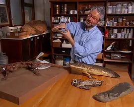 审判日 2007(全集)