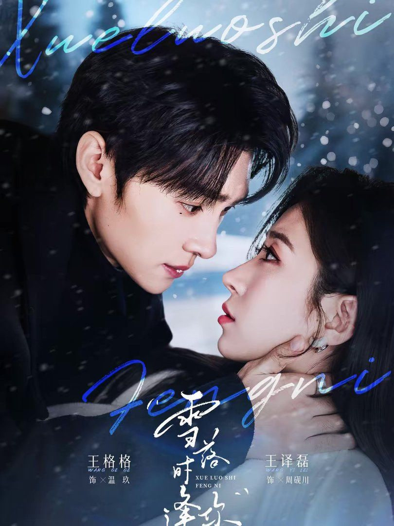 雪落时逢你(全集)