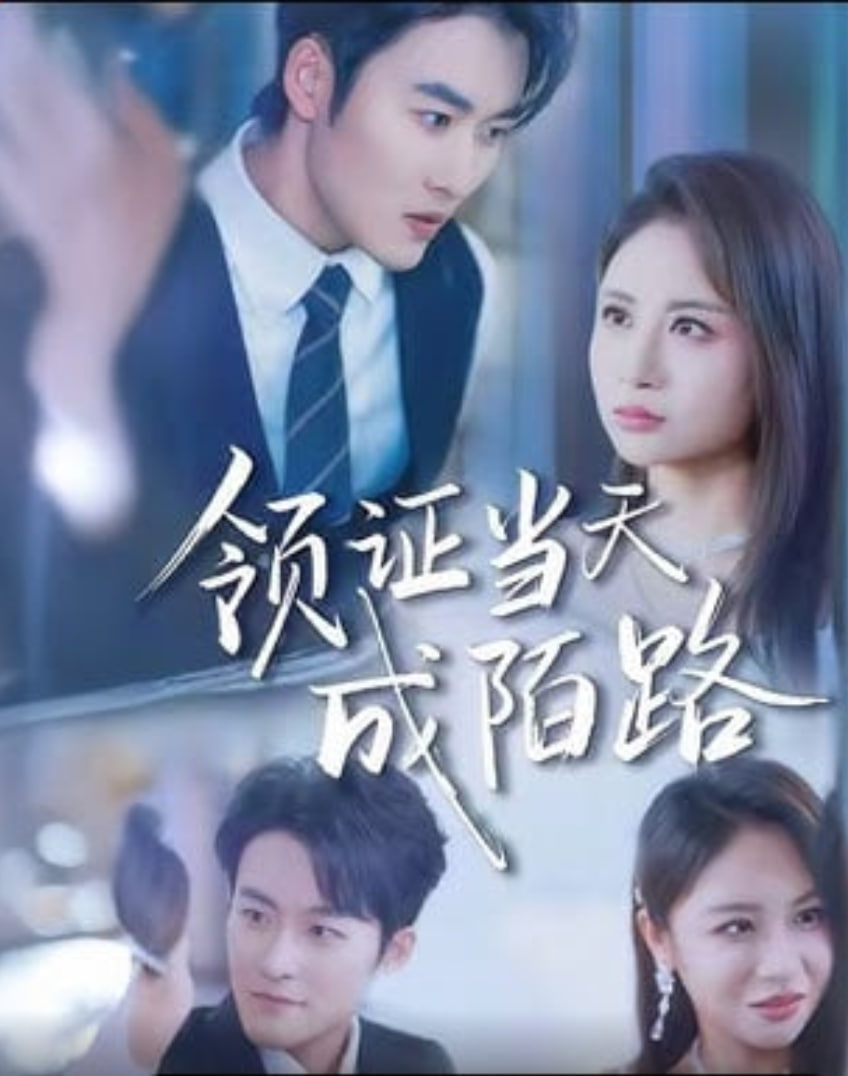 领证当天成陌路(全集)