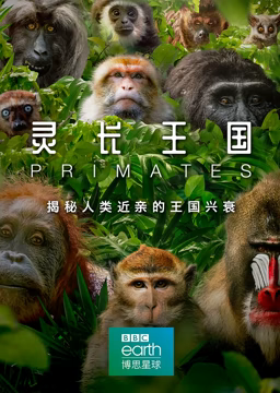 灵长王国(全集)