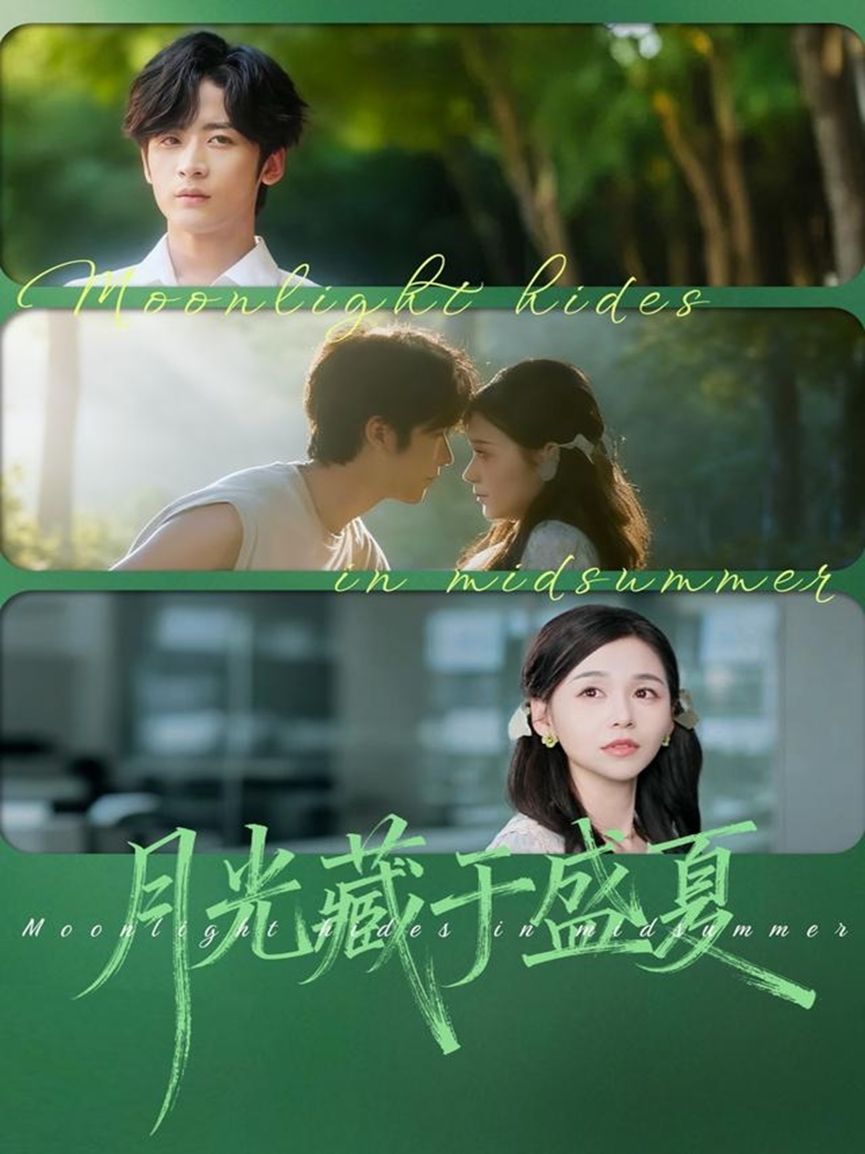 月光藏于盛夏(全集)