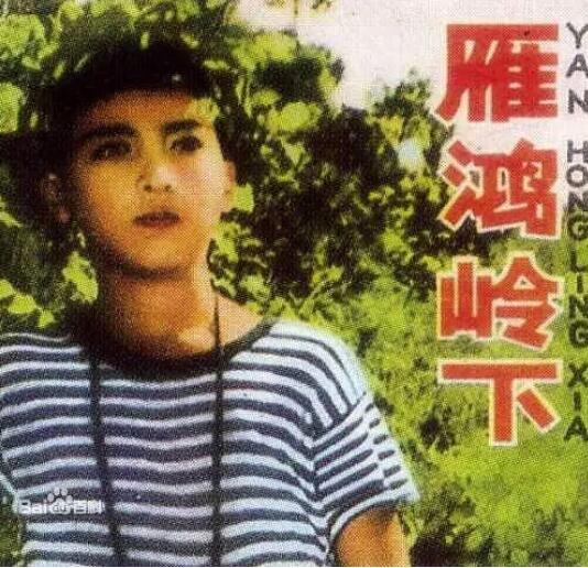 雁鸿岭下(全集)